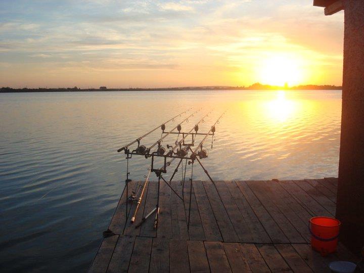 2012 - 59865_121970591190051_6221267_n.jpg